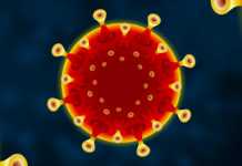 Coronavirus Romania Numarul Nou Cazurilor Noi 22 Mai 2022