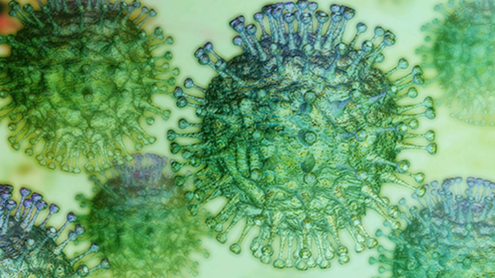 ECDC waarschuwt Europa Oorzaak van nieuwe varianten van het coronavirus