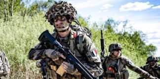 Exercitiile Militare Amploare NATO Europa 10 Tari Implicate