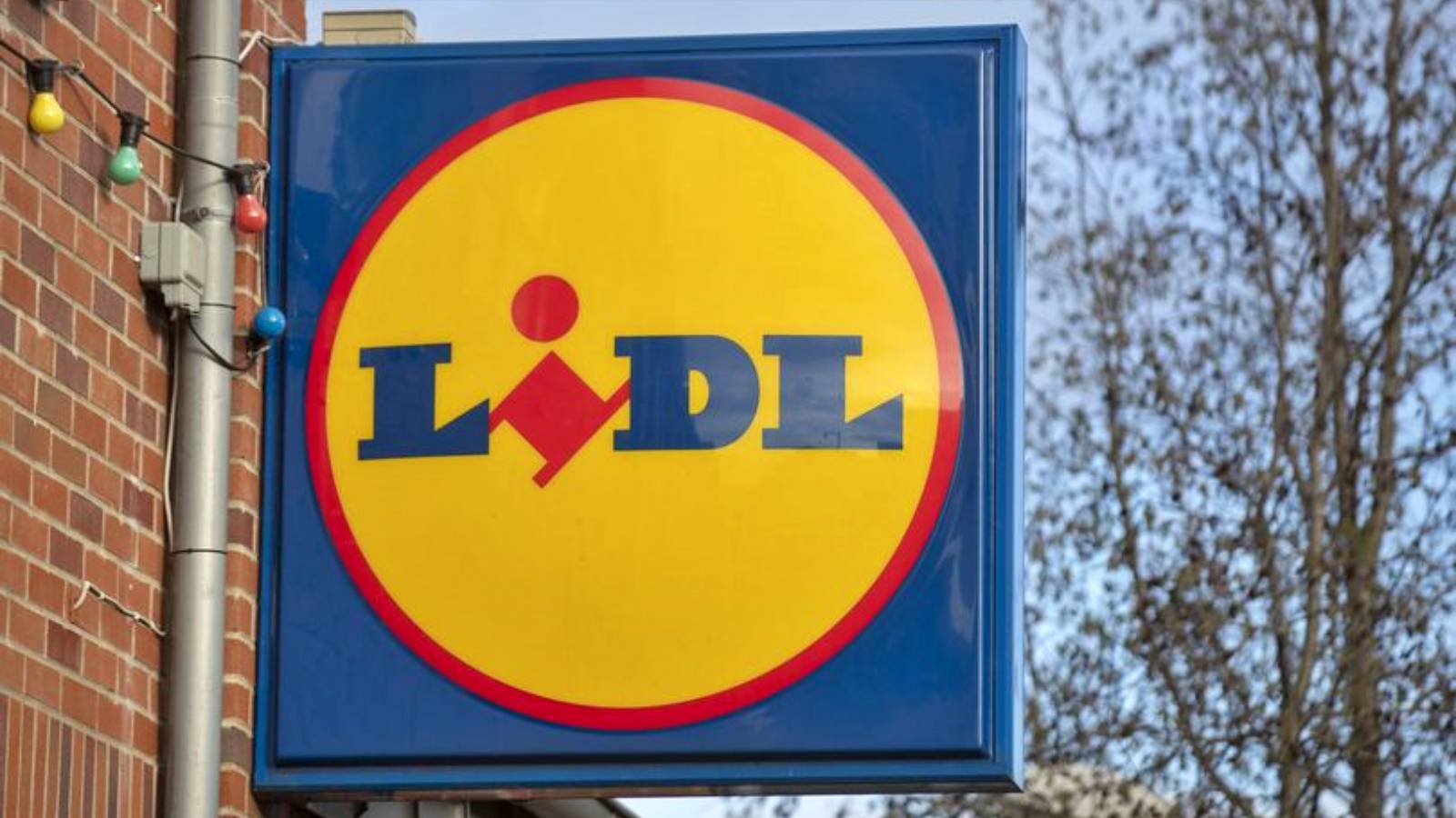 LIDL Rumänien kunder informerade viktiga beslut butiker