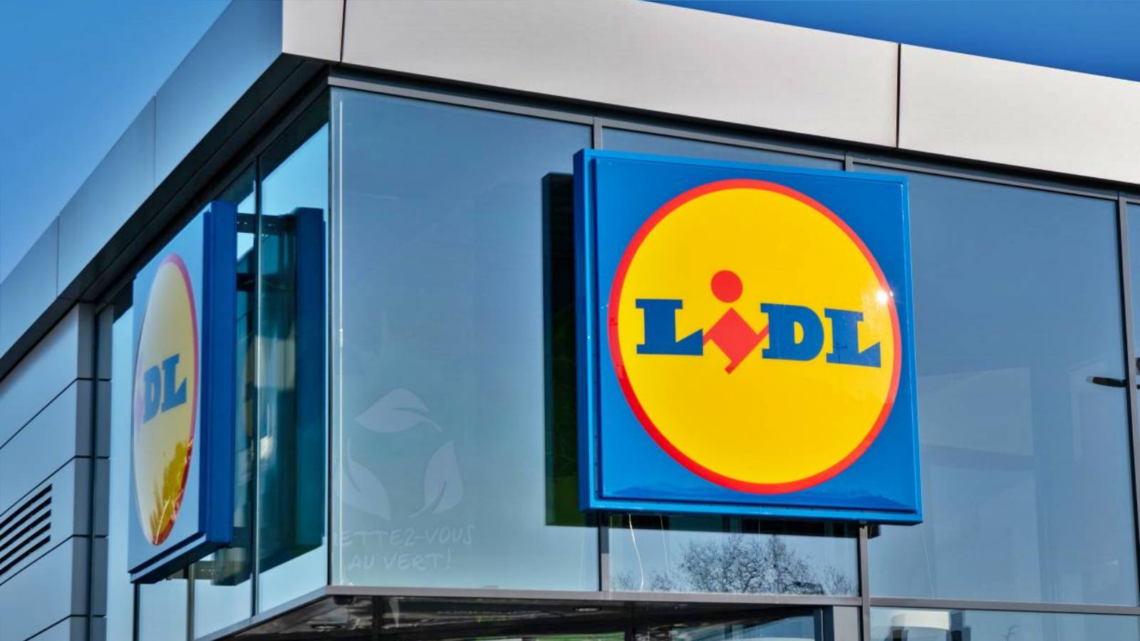 LIDL Romania Is FREE Any Customers Now