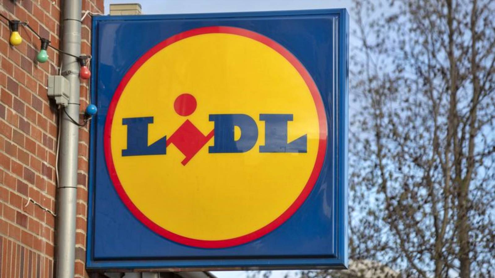 Lidl Romania IMPORTANT NOTICE FREE Starting Today