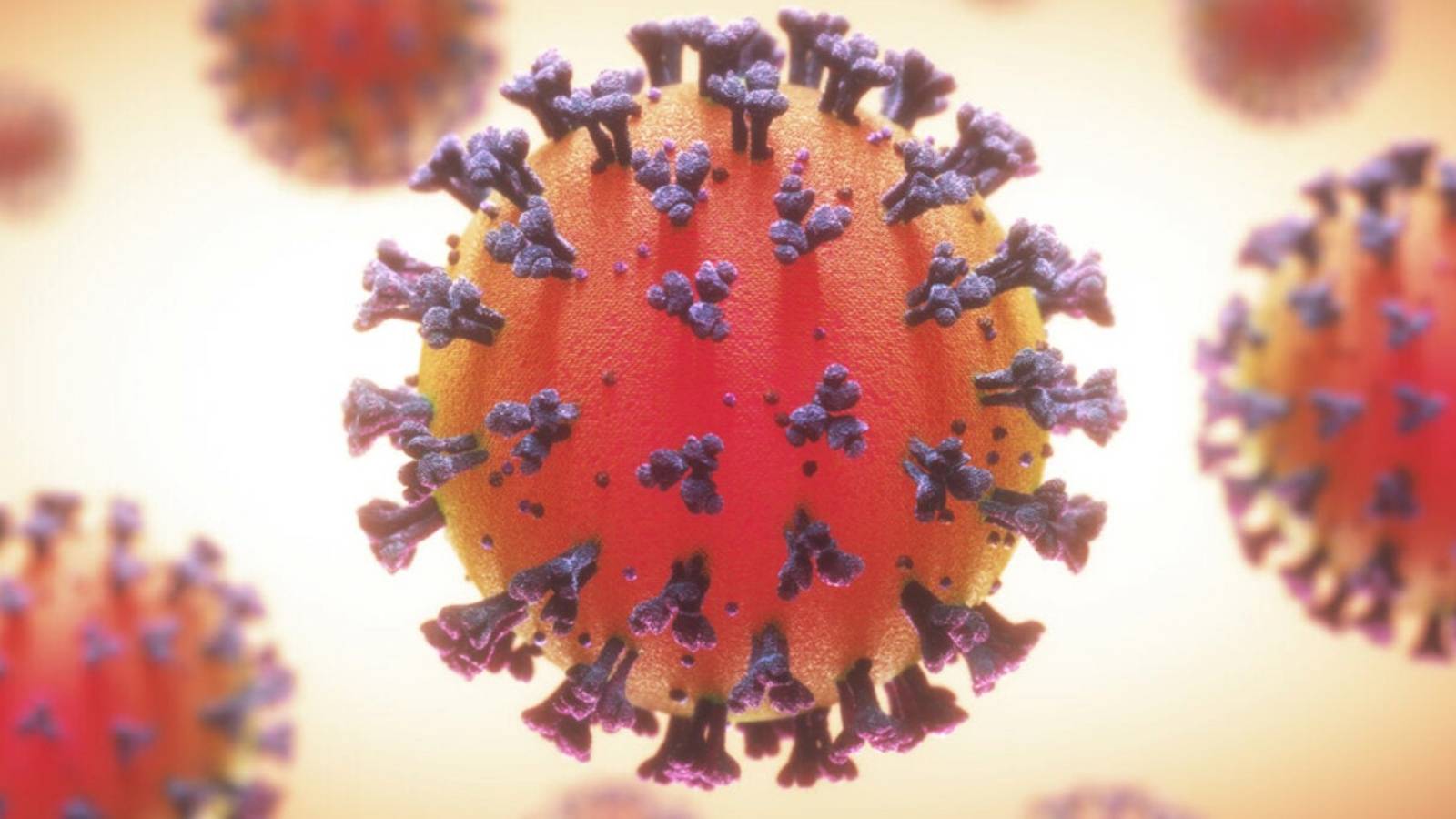 La décision d’urgence de l’OMS sur le coronavirus annoncée au monde