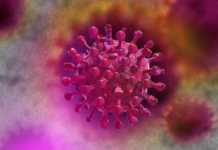 OMS Important Mesaj Atentionare Pandemia Coronavirus
