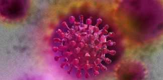 OMS Important Mesaj Atentionare Pandemia Coronavirus