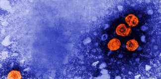 OMS Ingrijorator Anunt Hepatita Cauza Necunoscuta