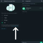 WhatsApp-applicatie GEHEIM Verandert iPhone Android-verdwijnende gesprekken
