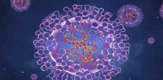 DERNIÈRES NOUVELLES Premier cas de variole du singe confirmé en Roumanie