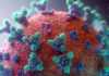 Coronavirus Romania CRESTE Numarul Cazurilor Noi Zilnice Ultima Saptamana