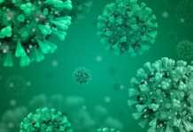 Coronavirus Romania: Noul Numar al Cazurilor Noi in Ultima Saptamana Coronavirus Romania Noul Numar Cazurilor Noi Ultima Saptamana