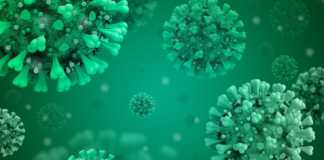 Coronavirus Rumänien Nytt antal nya fall förra veckan