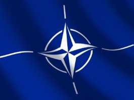 NATO Invitat Oficial Finlanda Suedia Adere Alianta