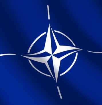 NATO Invitat Oficial Finlanda Suedia Adere Alianta