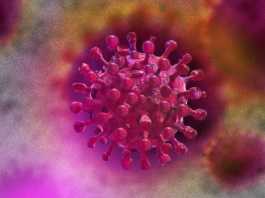 OMS Atentionare Ultima Ora Transmisa Intreaga Lume