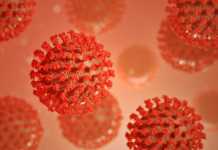 OMS: Avertizarea foarte Ingrijoratoare care Vizeaza Lumea Toata OMS Avertizarea Ingrijoratoare Vizeaza Lumea Toata