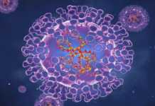 OMS: Ingrijoratoare Informare de Atentionare Transmisa catre Toata Lumea OMS Ingrijoratoare Informare Atentionare Transmisa Toata Lumea