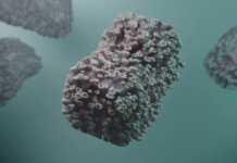 OMS monitorizeaza evolutia cazurilor de variola maimutei in continuare OMS Monitorizeaza Evolutia Cazurilor Variola Maimutei Continuare