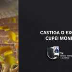 Raiffeisen Bank FREE Official Announcement for Romanian Customers World Cup Final