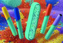 Vara aceasta, lasă-te inspirat de frumusețea diversității! Vara aceasta, lasă-te inspirat de frumusețea diversității!