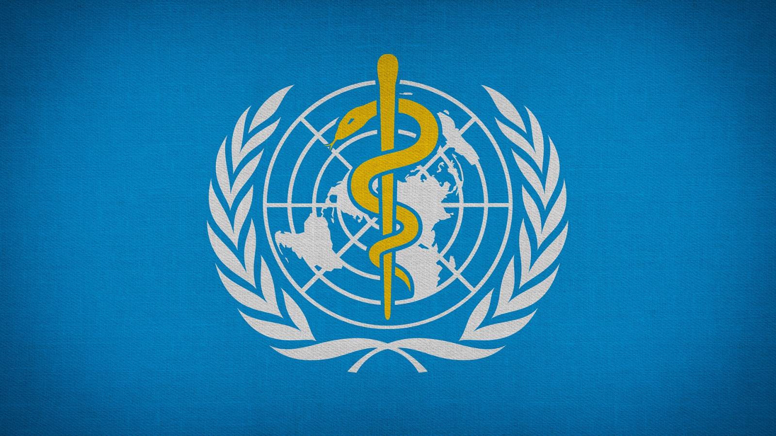 The actions required by the WHO to solve the worrying global problem of access to medical services
