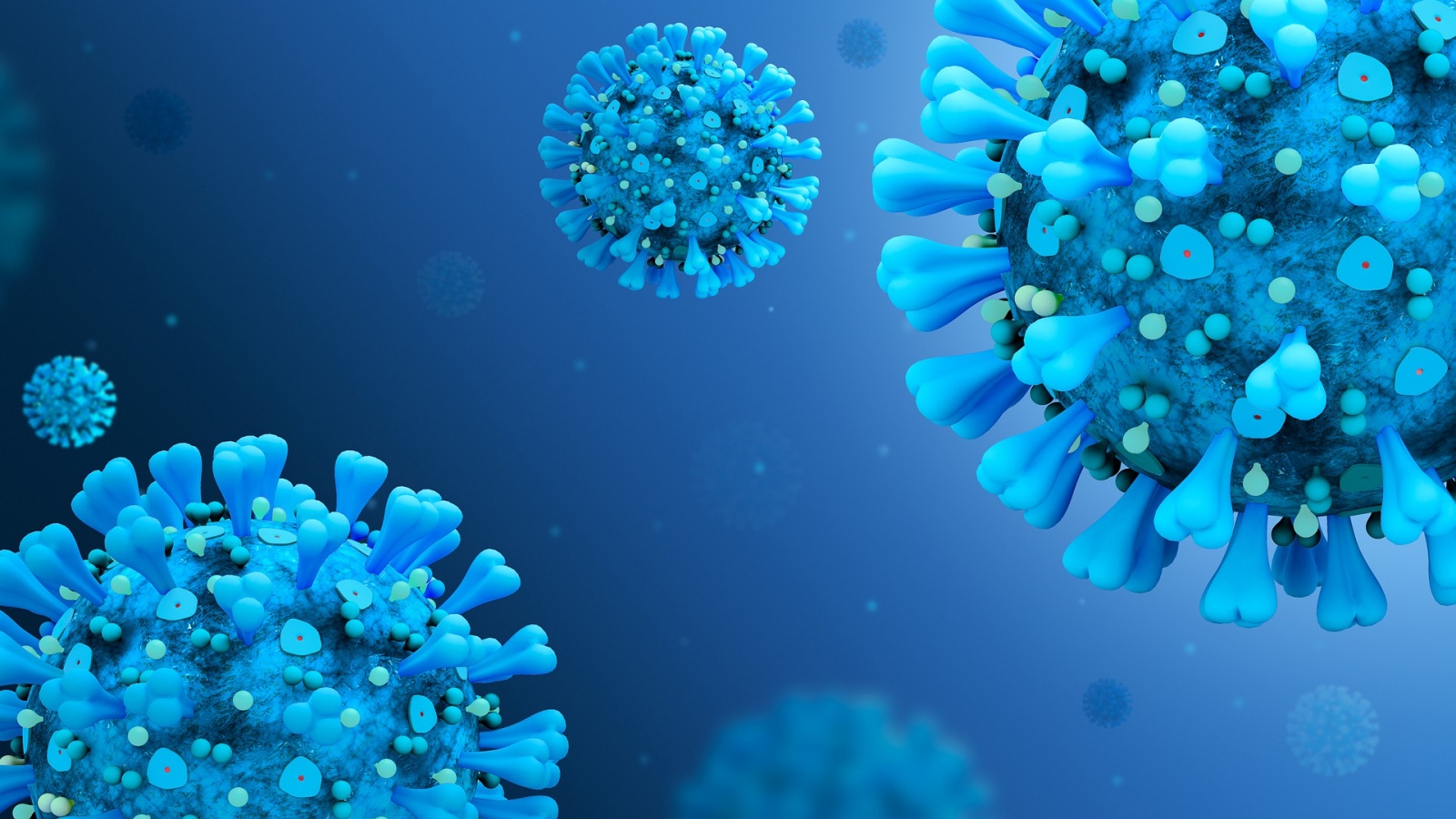 Coronavirus Romania Cazurile noi crescut impreuna rata pozitivare testelor