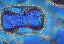 EMA: Decizia de Ultima Ora in Europa. OMS Declara o Noua Urgenta de Sanatate Publica EMA Decizia Ultima Ora Europa OMS Declara Urgenta Sanatate Publica