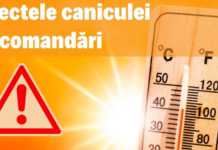 Efectele periculoase ale caniculei pentru romani, conform autoritatilor Efectele periculoase caniculei romani autoritatilor