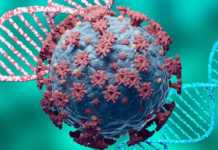 OMS: Alarmant Avertisment care Genereaza Ingrijorare in Toata Lumea OMS Alarmant Avertisment Genereaza Ingrijorare Toata Lumea