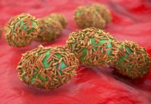 OMS: Informarea Alarmanta, Avertisment de Ultim Moment pentru Intreaga Lume OMS Informarea Alarmanta Avertisment Ultim Moment Intreaga Lume