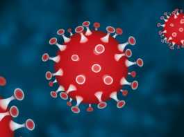 OMS Motivele cresterilor mari cazurilor Coronavirus lume