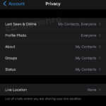 WhatsApp asculta schimbarea dorita vom ascunde statusul online iphone, android