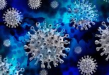 Coronavirus Ratele Incidenta Judetele Romaniei 18 August 2022