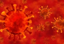 Coronavirus Romania: Bilantul Zilei de 27 August, Cazurile Noi Anuntate Coronavirus Romania Bilantul Zilei 27 August Cazurile Noi Anuntate