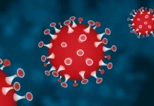 Coronavirus Roemenië Nieuw aantal nieuwe gevallen 17 augustus 2022