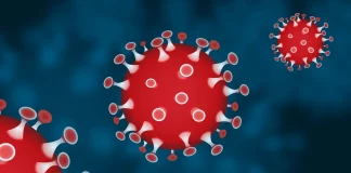 Coronavirus Rumania Nuevo número de casos nuevos 17 de agosto de 2022