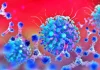 Coronavirus Romania Noul Numar Cazurilor Noi 19 August 2022