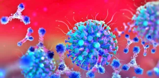 Coronavirus Romania Noul Numar Cazurilor Noi 19 August 2022