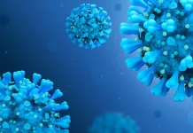 Coronavirus Rumänien Neue Zahl neuer Fälle 25. August 2022