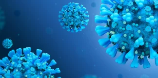 Coronavirus Roumanie Nouveau nombre de nouveaux cas 25 août 2022