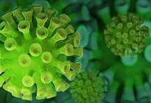 Coronavirus Romania Noul Numar Infectarilor Noi 21 August 2022