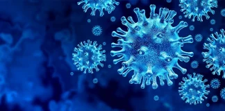 Coronavirus Rumänien Neue offizielle Zahl neuer Fälle 24. August 2022