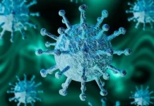 Coronavirus Romania Numarul Nou Cazurilor Noi 20 August 2022