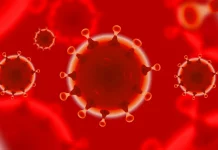 Coronavirus Romania Numarul Nou Cazurilor Noi 22 August 2022