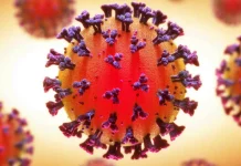 Coronavirus Rumænien Nyt officielt antal nye smittede 23. august 2022