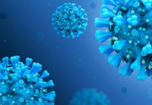 Coronavirus Romania: Numarul Oficial al Cazurilor Noi in 4 August 2022 Coronavirus Romania Numarul Oficial Cazurilor Noi 4 August 2022