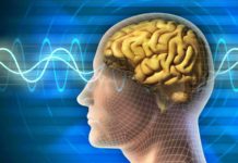 Creierul Uman mai Sanatos, Descoperirea IMPRESIONANTA care Ajuta Oamenii Creierul Uman Sanatos Descoperirea IMPRESIONANTA Ajuta Oamenii