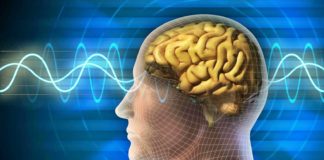 Creierul Uman Sanatos Descoperirea IMPRESIONANTA Ajuta Oamenii