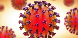 ECDC:s officiella meddelande Utvecklingen av Europeiska unionens coronavirus