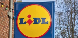 LIDL Rumänien tillkännager Back School Rumänien Specialerbjudanden