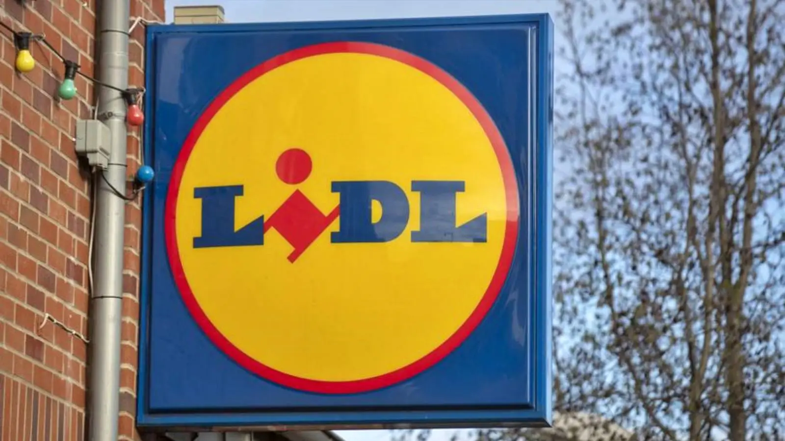 LIDL Romania Anunta Ofertele Speciale Back School Romania